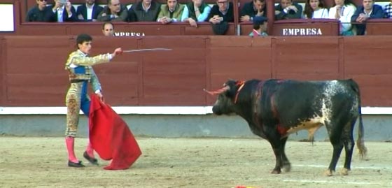  انتقام الجريح.. ثور يلقن مصارعا درسا كاد ينهي حياته! فيديو صورة رقم 1