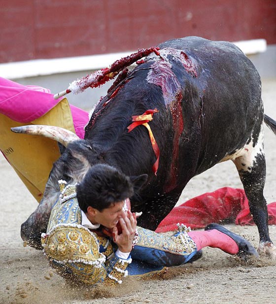 ثور ينتقم من قاتله ويغرس قرنه في عنق مصارع ثيران.. فيديو صورة رقم 1