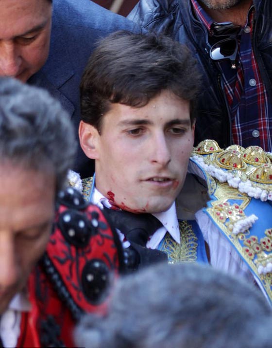 ثور ينتقم من قاتله ويغرس قرنه في عنق مصارع ثيران.. فيديو صورة رقم 2