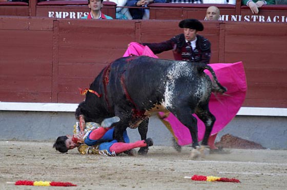 ثور ينتقم من قاتله ويغرس قرنه في عنق مصارع ثيران.. فيديو صورة رقم 4