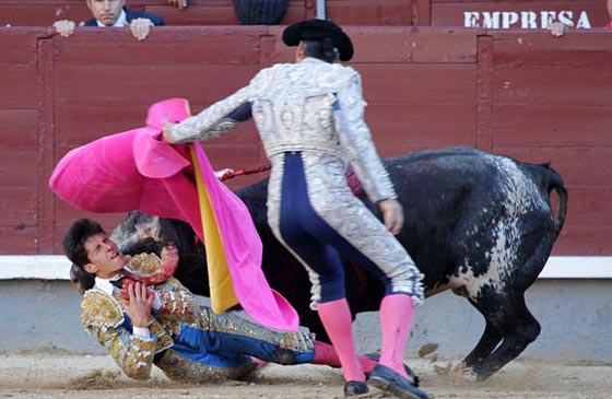 ثور ينتقم من قاتله ويغرس قرنه في عنق مصارع ثيران.. فيديو صورة رقم 6