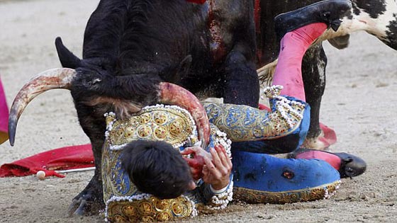 ثور ينتقم من قاتله ويغرس قرنه في عنق مصارع ثيران.. فيديو صورة رقم 7