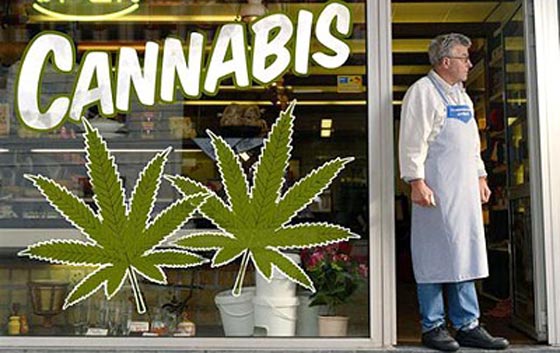  هذه اول دولة تبيع الحشيش في الصيدليات وباشراف الحكومة صورة رقم 3