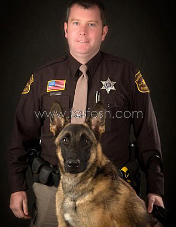 فيديو وصور.. رجل سبعيني يقاضي شرطيا دفع كلبه البوليسي لمهاجمته صورة رقم 5