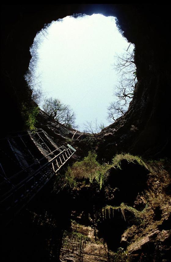 تعرف على اشنع الطرق التي قد يموت فيها البشر.. شاهد الصور صورة رقم 4