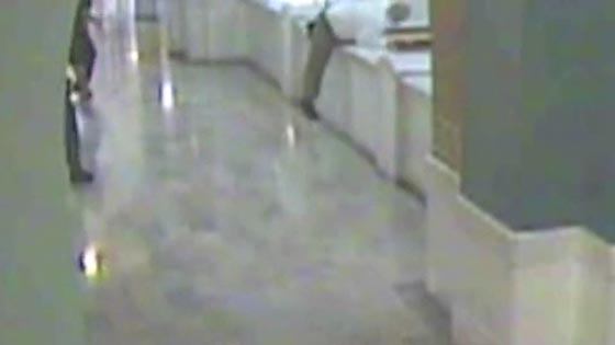 اغتصب طفلة وقتلها ثم احرق جديها وقفز منتحرا من شرفة المحكمة.. فيديو صورة رقم 3