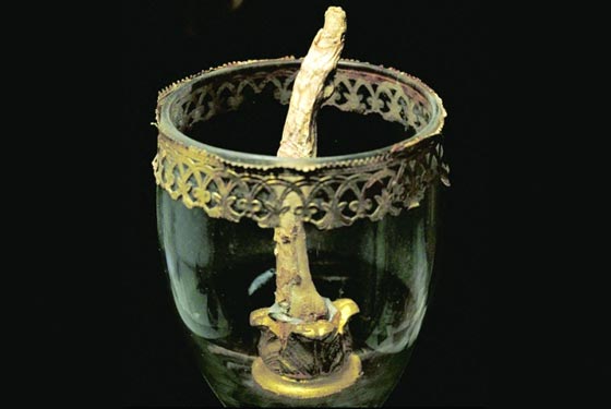 الصدفة تعيد اصابع العالم الفيزيائي غاليليو المفقودة الى متحفه صورة رقم 2