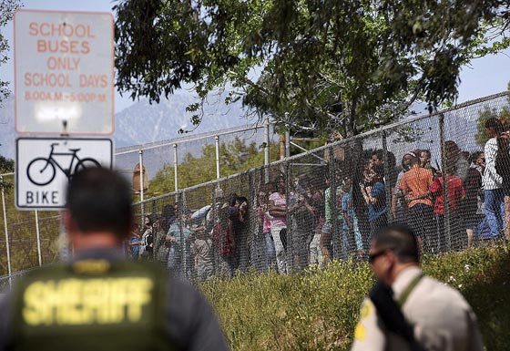 جريمة مروعة.. رجل يقتل زوجته المعلمة وطالبا في مدرسة ثم يتنحر  صورة رقم 24