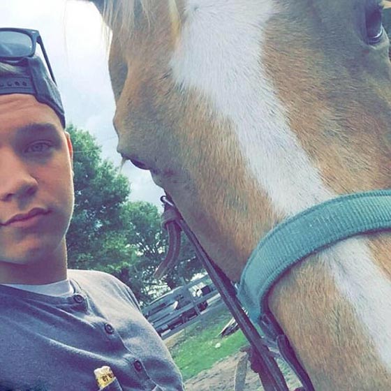 القبض على شاب أمريكي بتهمة صفع حمار صورة رقم 5