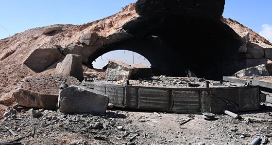 دونالد ترامب: الأسد حيوان شرير وسيء للبشرية صورة رقم 11