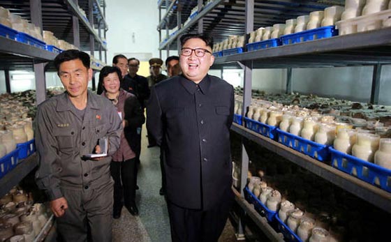 رغم فشل تجربتها الصاروخية.. كوريا الشمالية خطر يهدد العالم كله صورة رقم 10