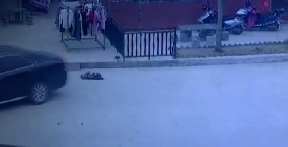 فيديو مؤلم.. سائق ينشغل بهاتفه المحمول ويدهس طفلا! صورة رقم 3