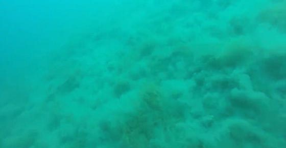 فيديو نادر.. غواصون يرصدون زلزالا بقوة 5.7 درجات في قاع المحيط صورة رقم 2