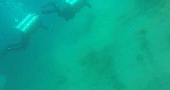 فيديو نادر.. غواصون يرصدون زلزالا بقوة 5.7 درجات في قاع المحيط صورة رقم 3