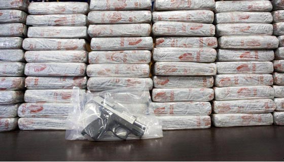 متى كان النحل والبراغيث والعقارب اسلحة تفتك بالناس في الحروب؟ صورة رقم 4