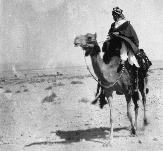 جرعة زائدة من الدواء اندثر معها تاريخ لورانس العرب الفتاة صورة رقم 10