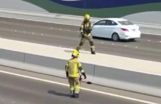 فريق الانقاذ في أبو ظبي يستنفر لمهمة غير عادية.. ونجت القطة! فيديو صورة رقم 2