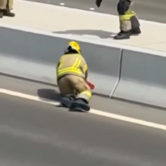 فريق الانقاذ في أبو ظبي يستنفر لمهمة غير عادية.. ونجت القطة! فيديو صورة رقم 3