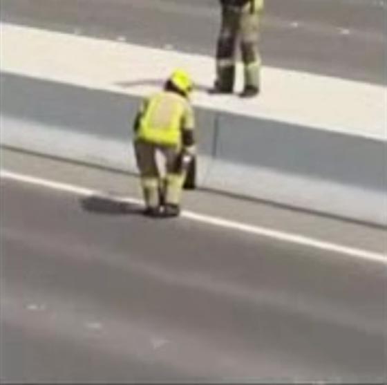 فريق الانقاذ في أبو ظبي يستنفر لمهمة غير عادية.. ونجت القطة! فيديو صورة رقم 5