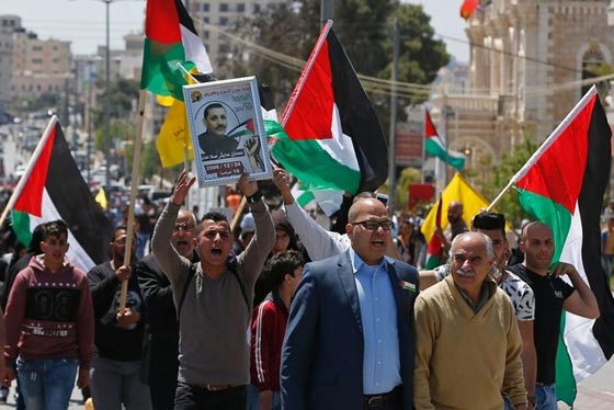 الحكومة البريطانية ترفض الاعتذار عن وعد بلفور  صورة رقم 6