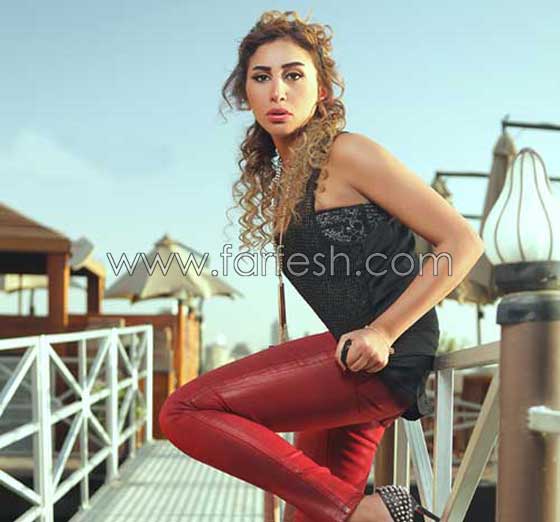 هكذا ردت دينا الشربيني على شائعة حملها من عمرو دياب! صورة رقم 4