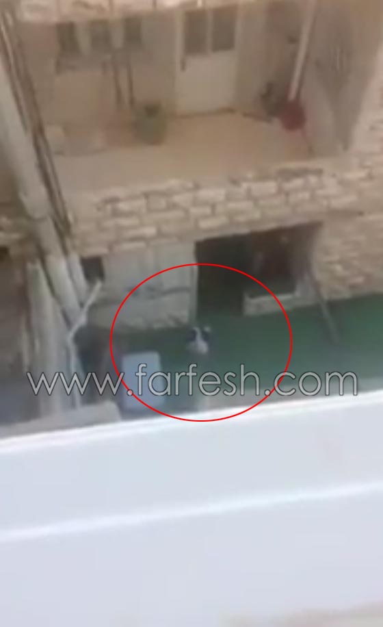 فيديو قاس لطفلة تبكي خارج حضانة يتسبب باغلاقها واعتقال المديرة صورة رقم 1