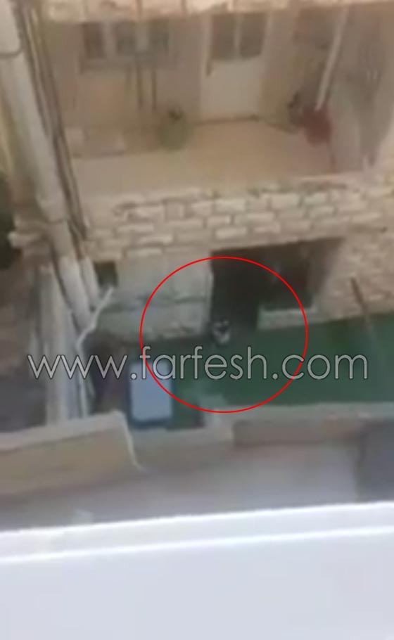 فيديو قاس لطفلة تبكي خارج حضانة يتسبب باغلاقها واعتقال المديرة صورة رقم 2