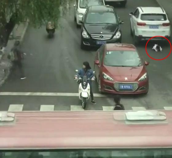 فيديو صادم.. طفلة تنجو بـأعجوبة من دهس سيارتين صورة رقم 1