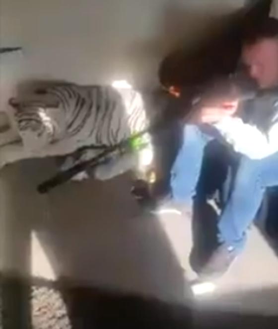 فيديو مروع.. قناص أخطأ بإصابة سيجارة  فنسف أصابع امرأة صورة رقم 2