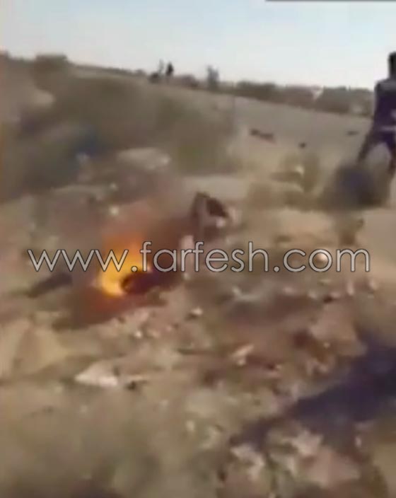 قبيلة في سيناء تعدم قياديا داعشيا حرقا وتدعو القبائل للتخلص من هذا التنظيم صورة رقم 2