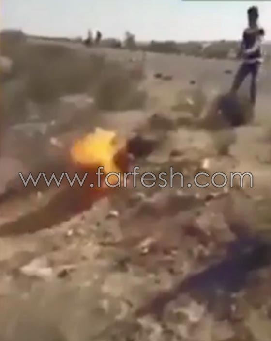 قبيلة في سيناء تعدم قياديا داعشيا حرقا وتدعو القبائل للتخلص من هذا التنظيم صورة رقم 3