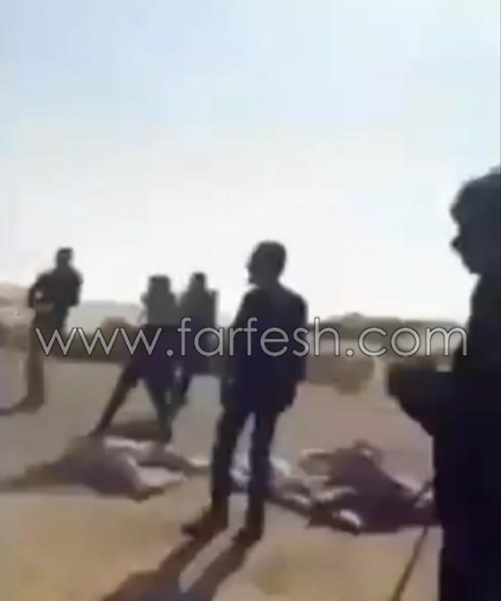 قبيلة في سيناء تعدم قياديا داعشيا حرقا وتدعو القبائل للتخلص من هذا التنظيم صورة رقم 4