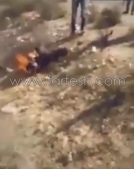 قبيلة في سيناء تعدم قياديا داعشيا حرقا وتدعو القبائل للتخلص من هذا التنظيم صورة رقم 6