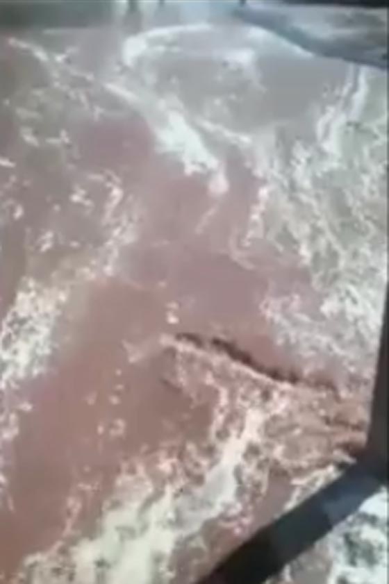 بالفيديو.. فياضانات العصير في بلدة روسية صورة رقم 1