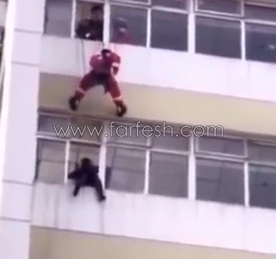 فيديو مذهل: عمليات انقاذ مدهشة لاشخاص ارادوا الانتحار من علو.. آخرهم شابة كورية صورة رقم 9