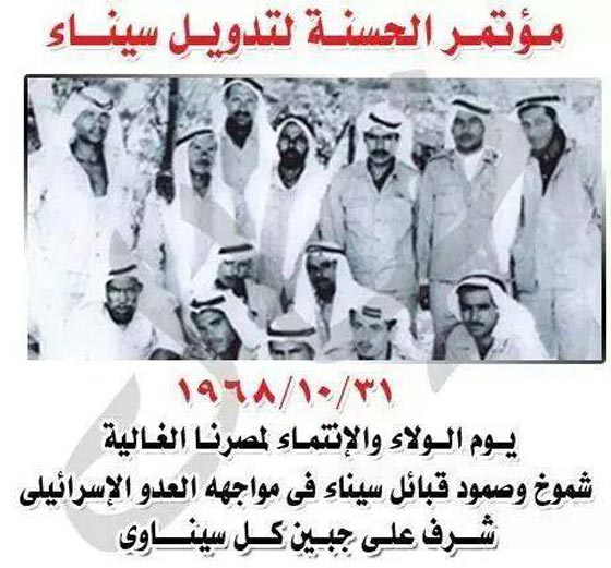 قصة بطل من مشايخ سيناء صفع موشي ديان أمام العالم وكرّمه جمال عبد الناصر صورة رقم 3