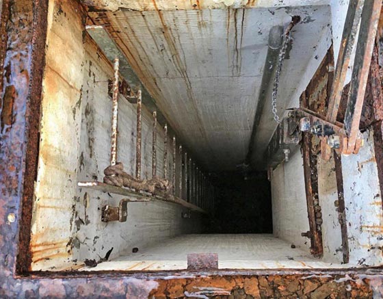 كيف يجب التصرف عند نشوب حرب عالمية ثالثة؟ صورة رقم 4