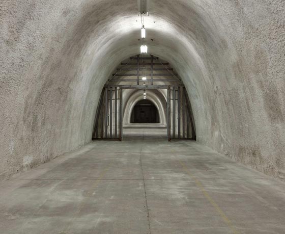 كيف يجب التصرف عند نشوب حرب عالمية ثالثة؟ صورة رقم 8