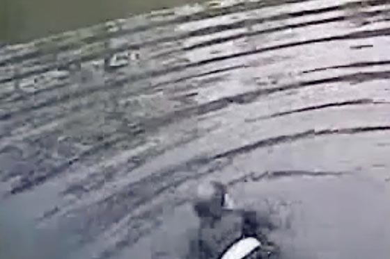 فيديو يحبس الانفاس.. شرطي شجاع ينقذ طفلاً من الغرق صورة رقم 2