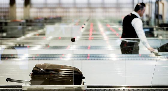 القبض على مسافر روسي احتوت أمتعته على حيوانات زاحفة وصراصير صورة رقم 1