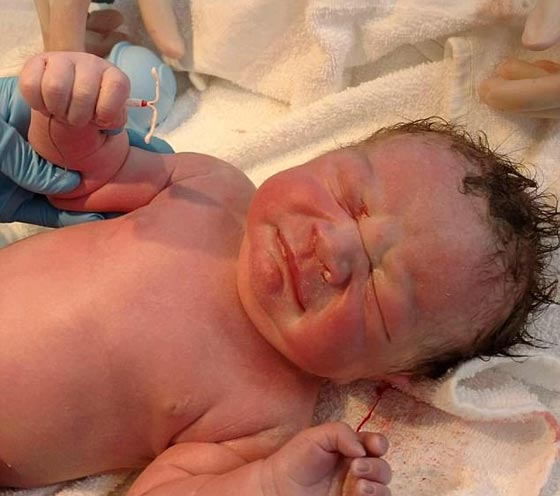  هل هذه هي اكثر صورة ساخرة في العالم؟ صورة رقم 1