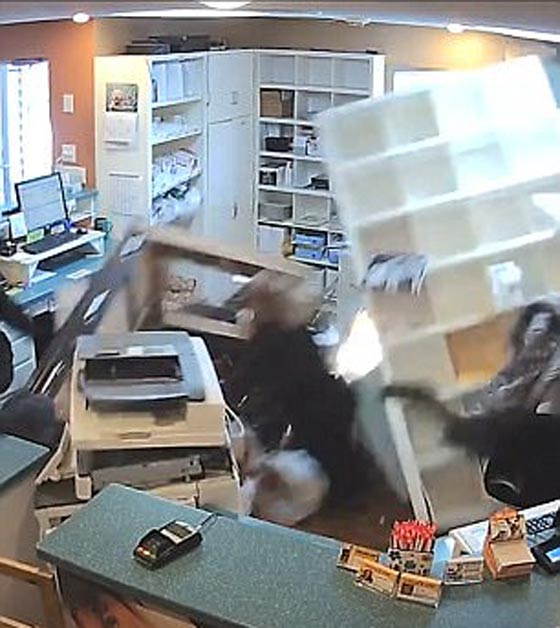 فيديو صادم.. سيارة مسرعة تقتحم عيادة بيطرية صورة رقم 4