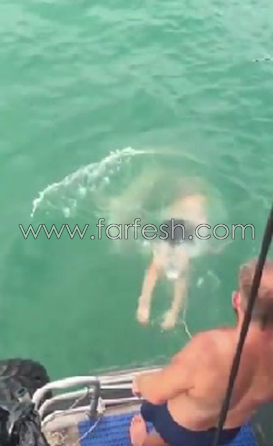 بالفيديو.. قتال عنيف بين سمكة قرش ورجل أسترالي صورة رقم 3