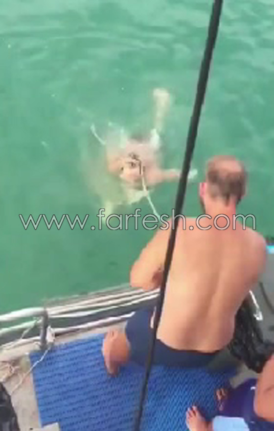 بالفيديو.. قتال عنيف بين سمكة قرش ورجل أسترالي صورة رقم 4