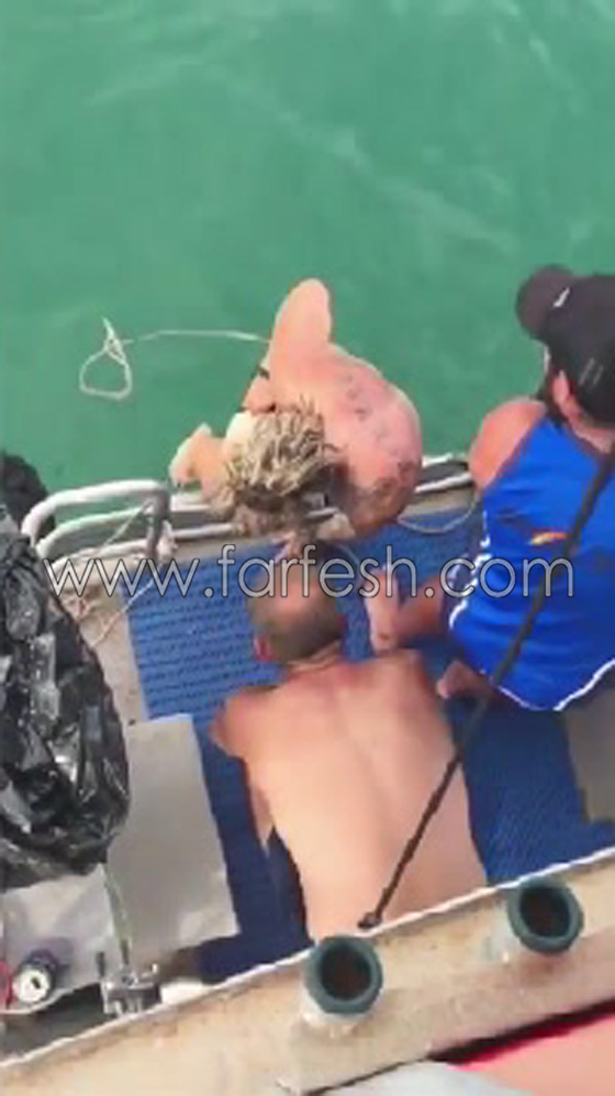 بالفيديو.. قتال عنيف بين سمكة قرش ورجل أسترالي صورة رقم 8