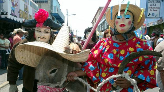 في اليوم العالمي للحمير.. 59 مليون حمارا تعمل للانسان دون تذمر! صورة رقم 5