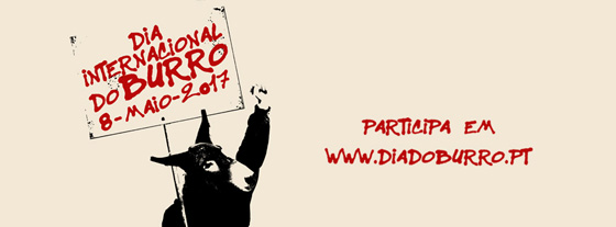 في اليوم العالمي للحمير.. 59 مليون حمارا تعمل للانسان دون تذمر! صورة رقم 1