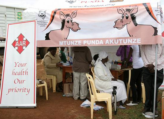 في اليوم العالمي للحمير.. 59 مليون حمارا تعمل للانسان دون تذمر! صورة رقم 3