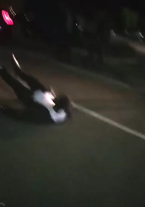 فيديو صادم: خناقة جماعية في حفل زفاف وضيوف بثياب فاخرة يضربون ويركلون!  صورة رقم 10