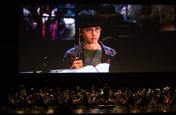  سرقة مسودة نادرة لاحدى روايات هاري بوتر خلال عملية سطو صورة رقم 6